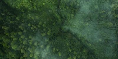 Drone aerial shot of green tropical forest from above
